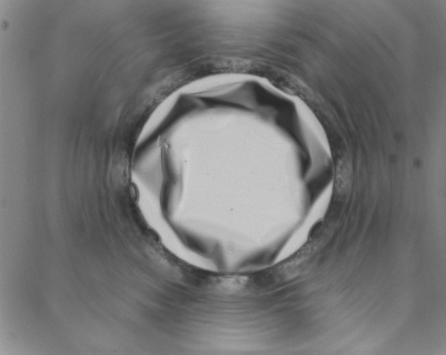 X0000088360474200706191223
