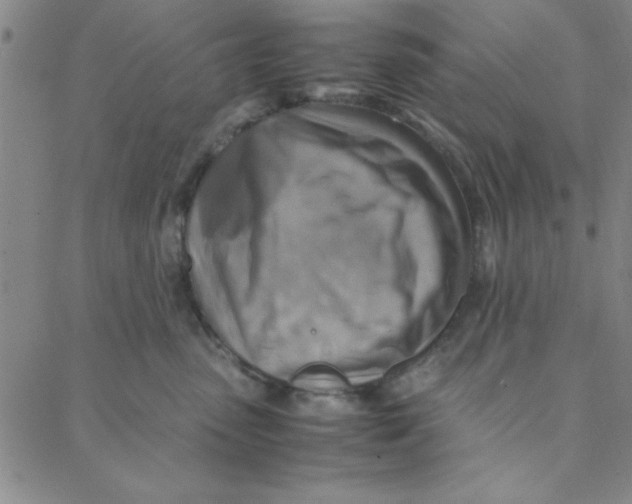 X0000088360475200706191223