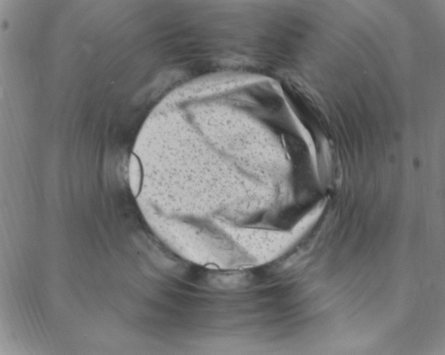 X0000088360479200706191223