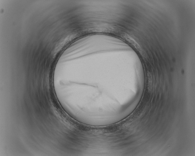 X0000088360482200706191222