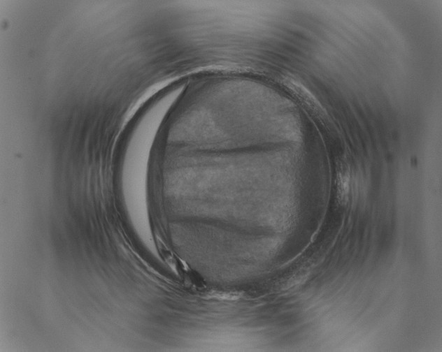 X0000088360484200706191222