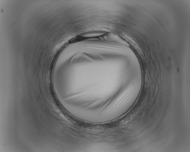 X0000088360485200706191222