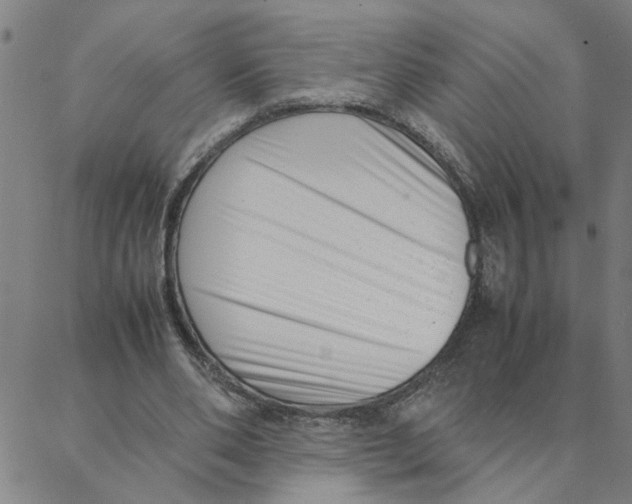X0000088360486200706191222