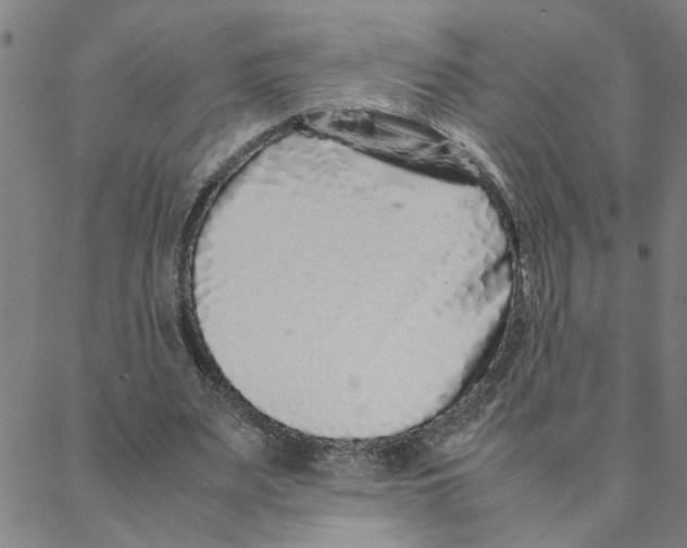 X0000088360487200706191222