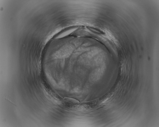 X0000088360488200706191222