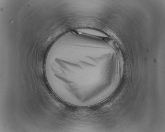 X0000088360489200706191222
