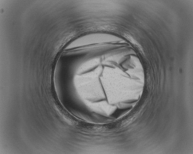 X0000088360493200706191222