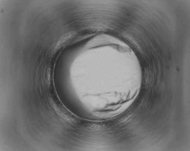 X0000088360494200706191222