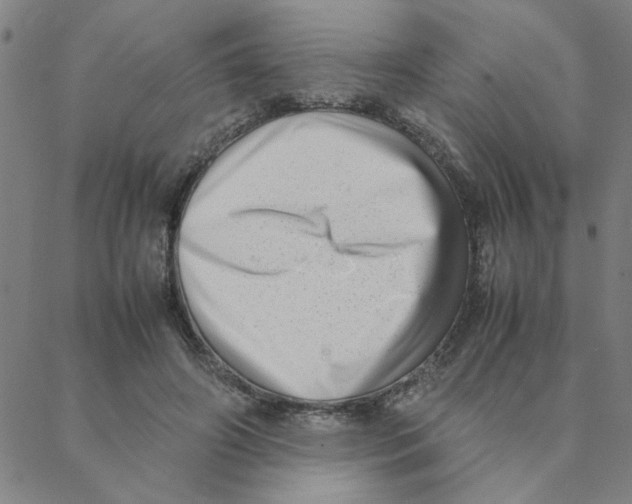 X0000088360498200706191222