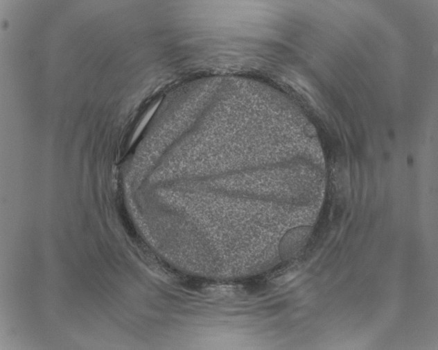 X0000088360499200706191222