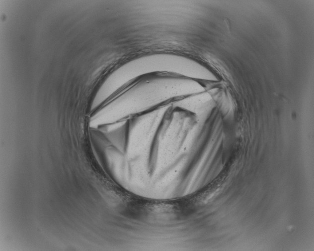 X0000088360501200706191222