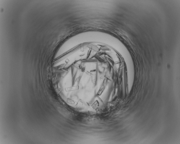 X0000088360503200706191222