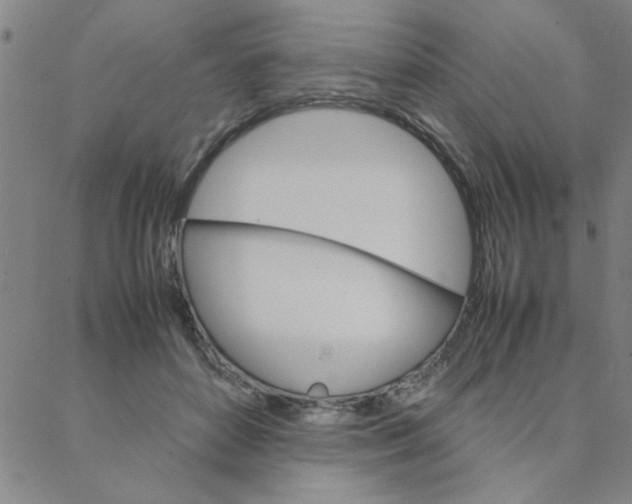 X0000088360504200706191222