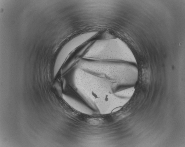 X0000088360508200706191221