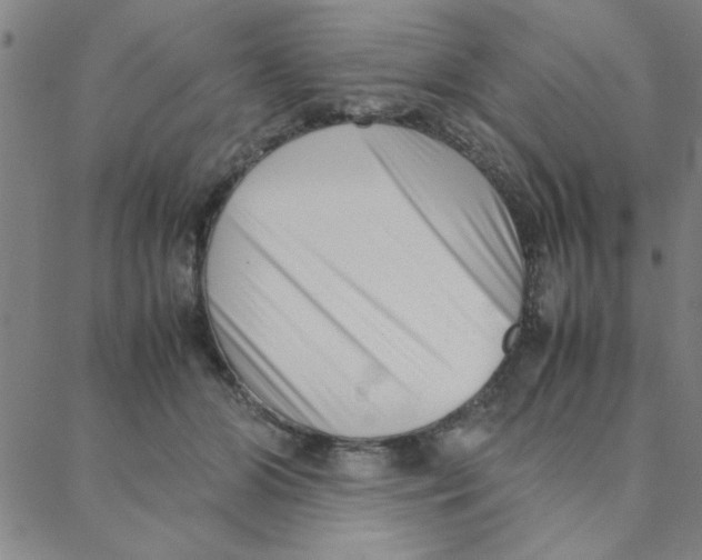X0000088360510200706191221