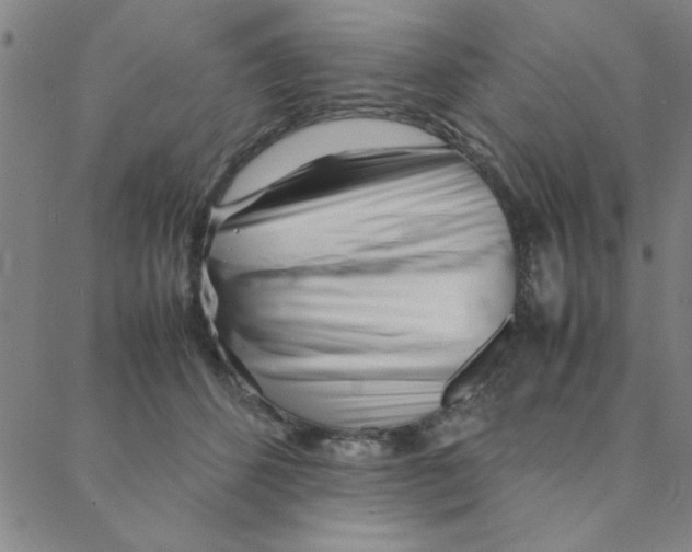 X0000088360512200706191221