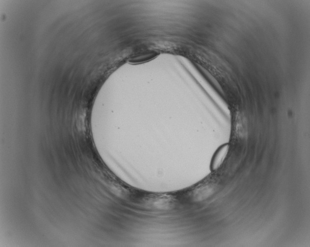 X0000088360514200706191221