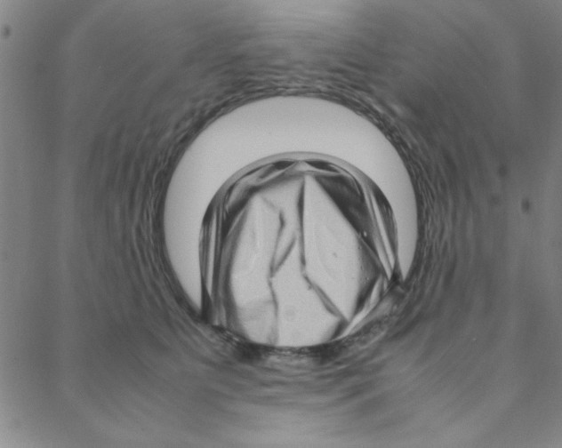 X0000088360515200706191221