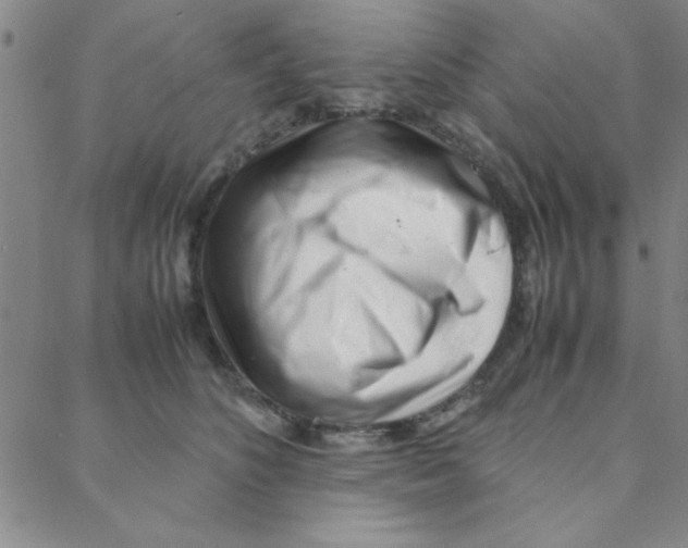 X0000088360516200706191221