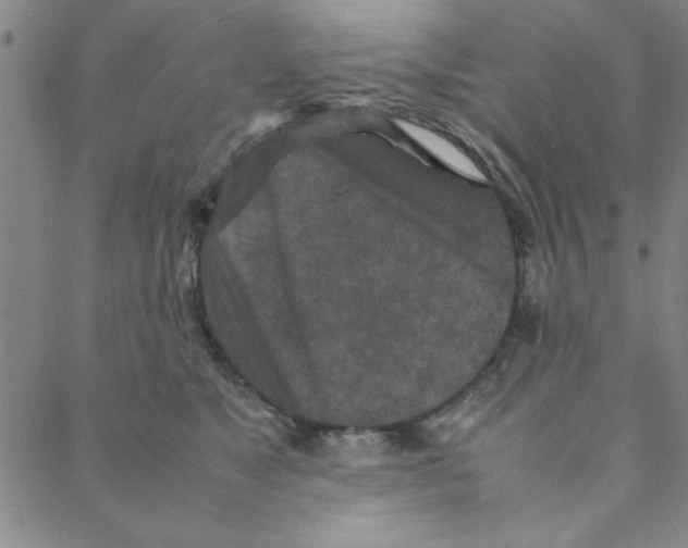 X0000088360517200706191221