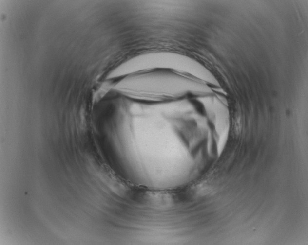 X0000088360520200706191221