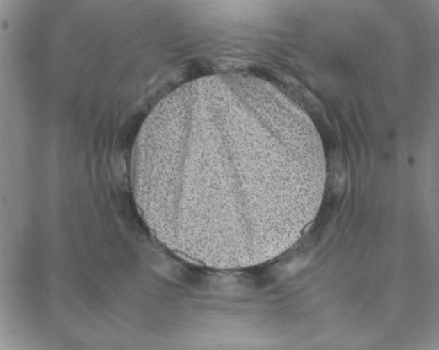 X0000088360523200706191221