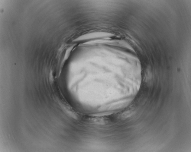 X0000088360524200706191221