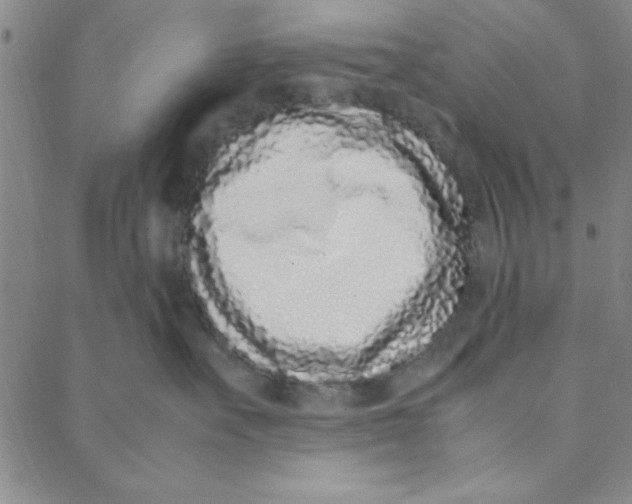 X0000088360527200706191221