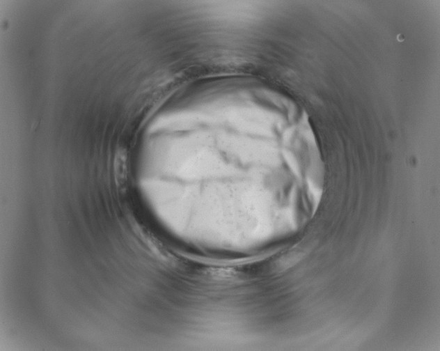 X0000088360528200706191221
