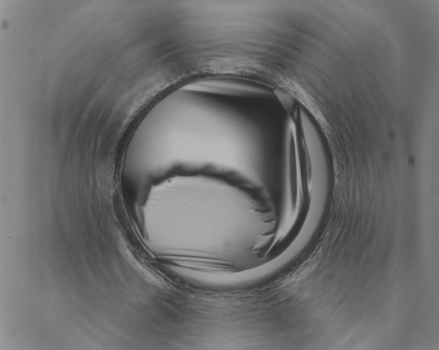 X0000088360530200706191220