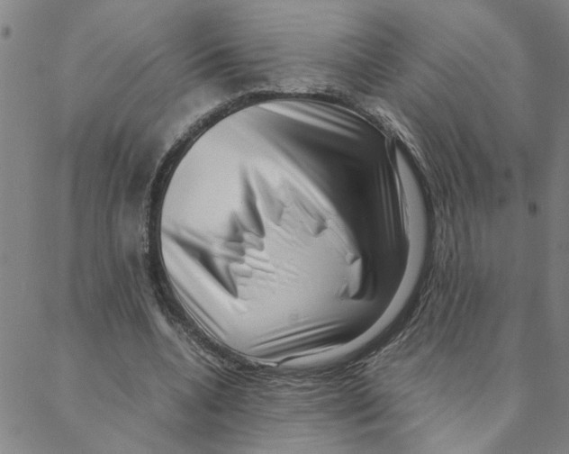 X0000088360536200706191221