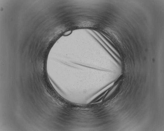 X0000088360539200706191221