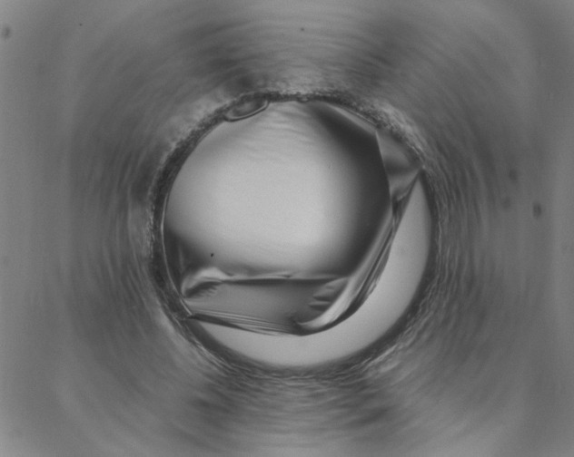 X0000088360540200706191221