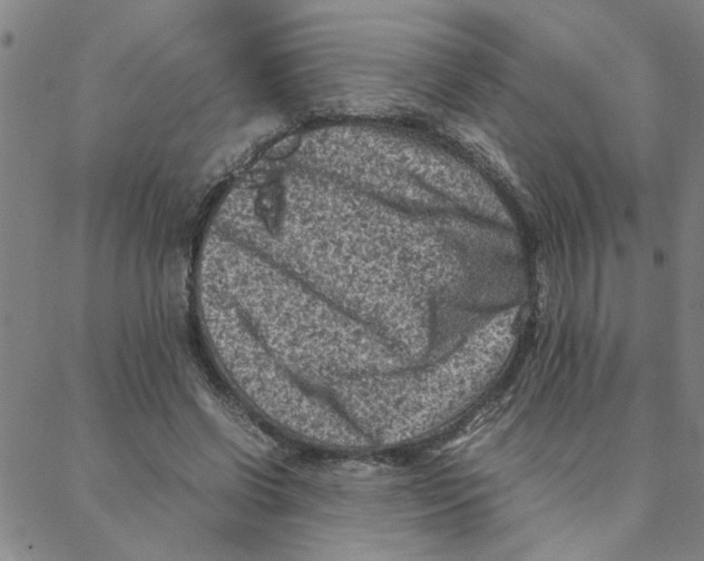 X0000088360542200706191221