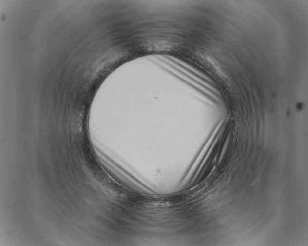 X0000088360543200706191221