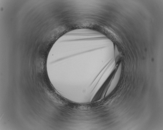 X0000088360546200706191221