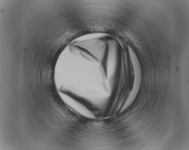 X0000088360548200706191221