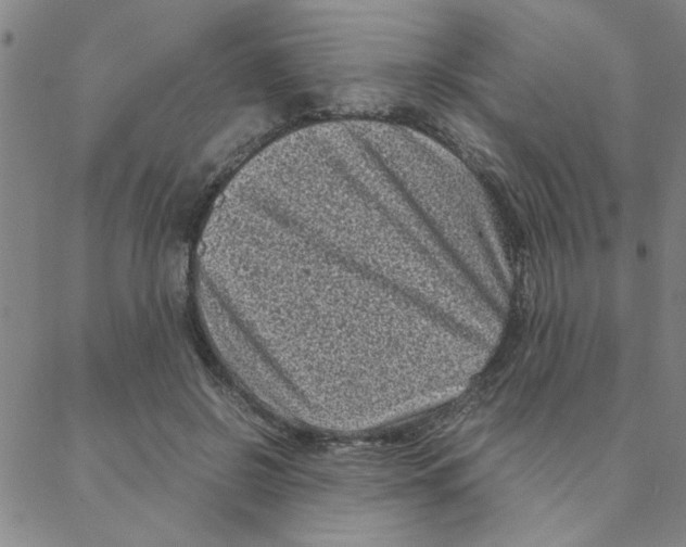 X0000088360550200706191221