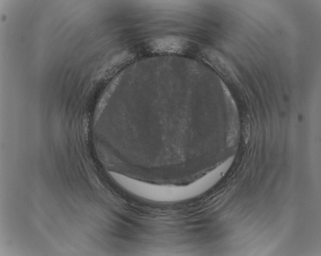 X0000088360551200706191221