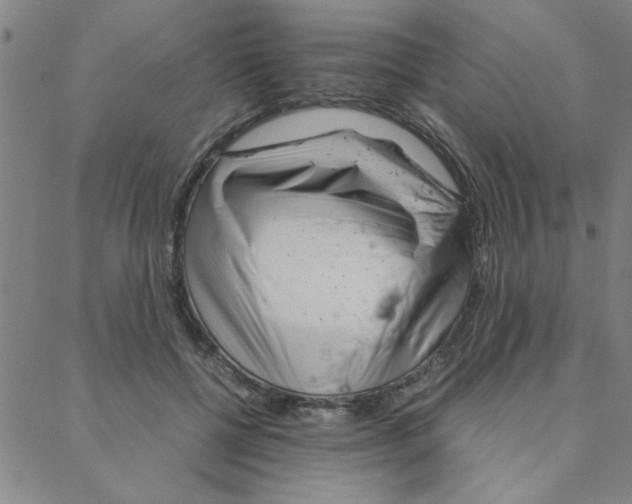 X0000088360552200706191221