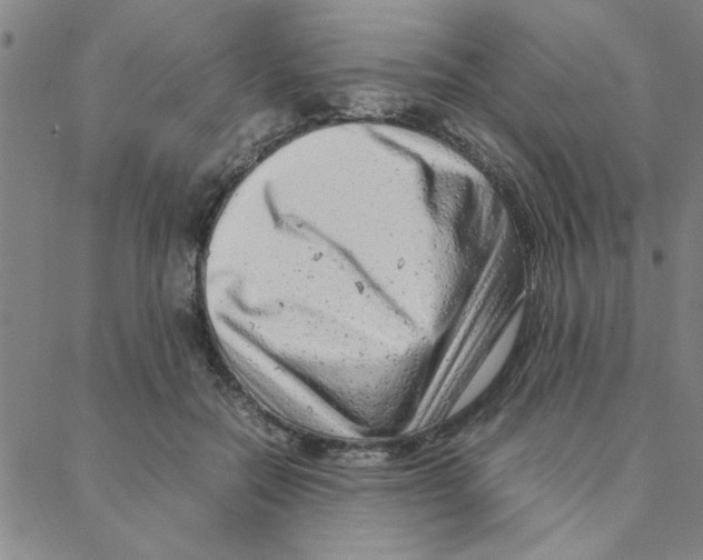 X0000088360554200706191221