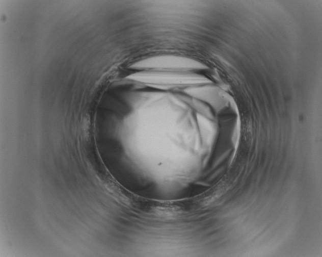 X0000088360556200706191221