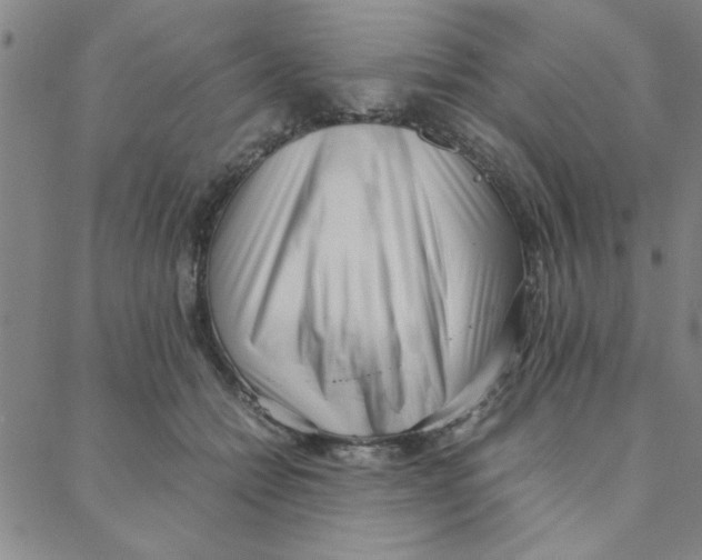X0000088360558200706191221