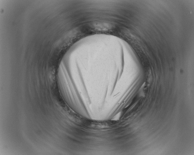 X0000088360559200706191221