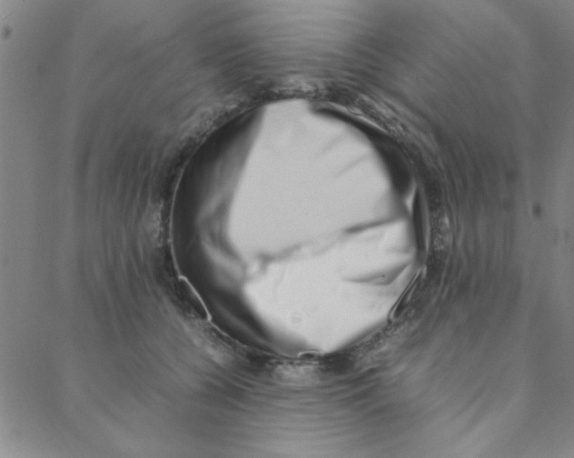 X0000088360560200706191221