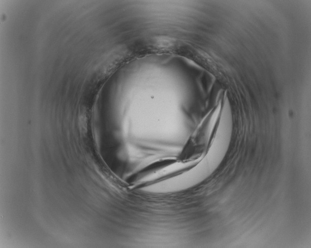 X0000088360562200706191221