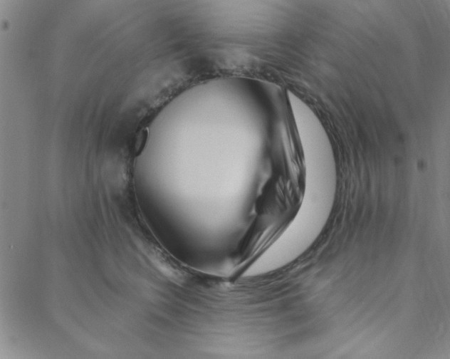X0000088360566200706191221