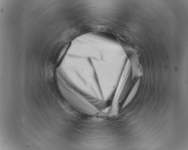 X0000088360570200706191221