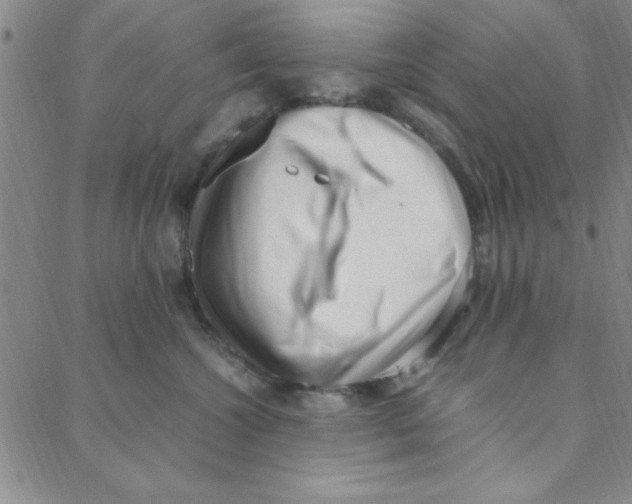 X0000088360572200706191221
