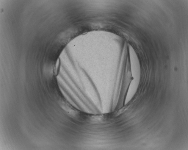 X0000088360574200706191221
